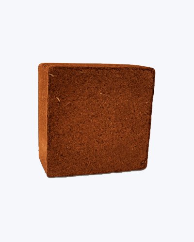 Square Coco Peat Block A Naik Co